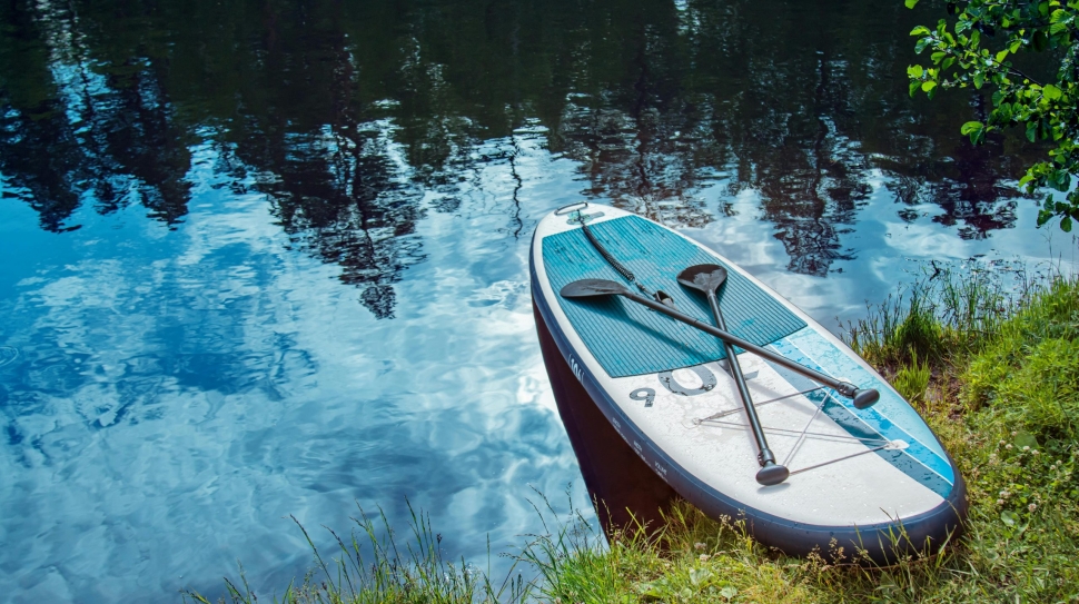 pexels-spfphotography-31493882